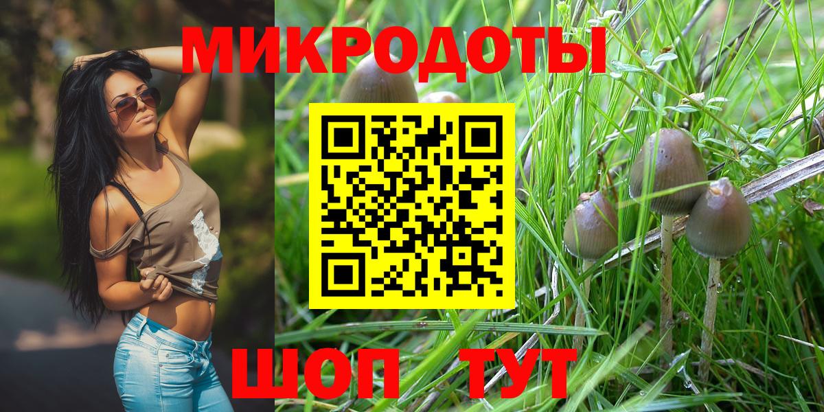 Галлюциногенные грибы Psilocybe  Вход с VPN  купить наркотики сайты  Каменка 