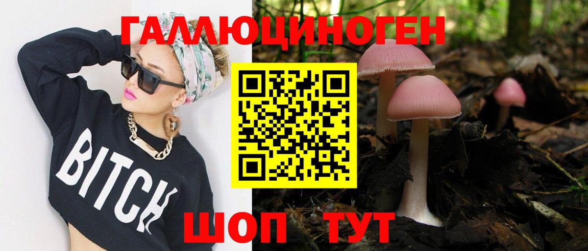 Псилоцибиновые грибы Magic Shrooms Каменка