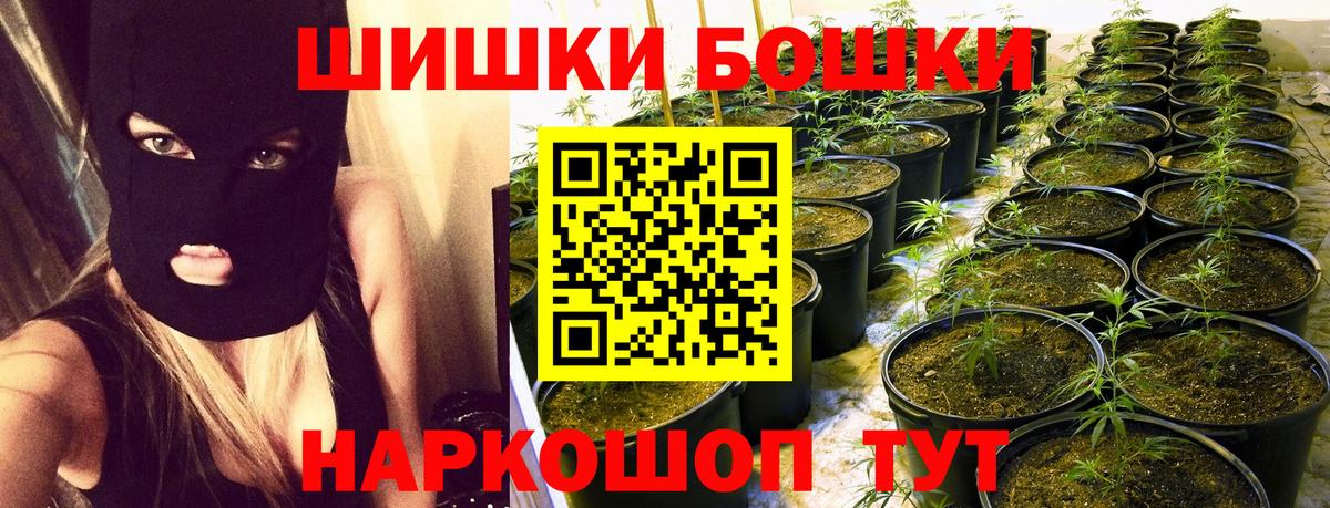 Шишки марихуана Bruce Banner Каменка